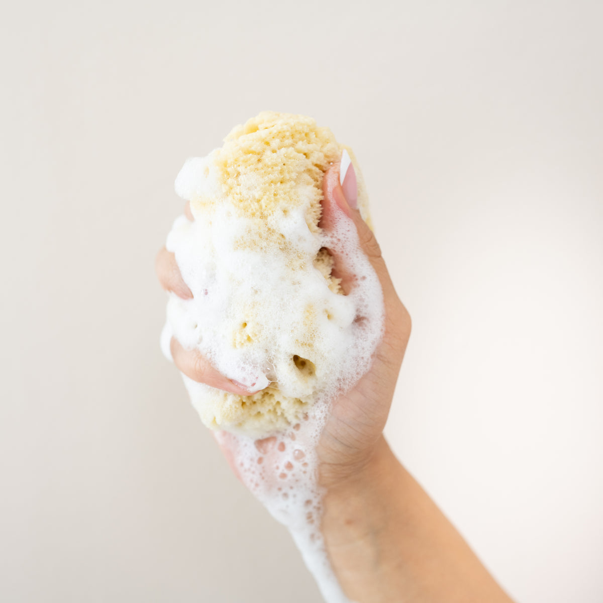 A soapy Sea Sponge being squeezed in a woman's hand 